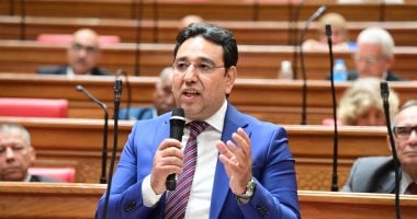 النائب أيمن محسب يتقدم بطلب إحاطة بشأن غش عسل النحل فى الأسواق